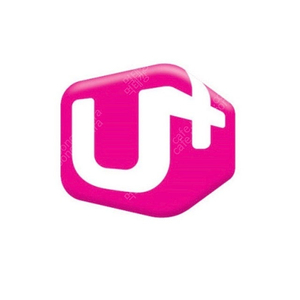 유플러스 데이터 2기가