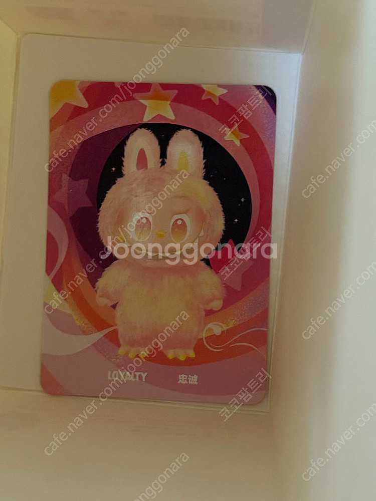 팝마트 라부부 정품 하이라이트 새상품(충성/평온)--1