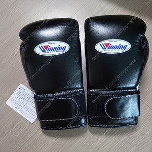 위닝 글러브 12온스