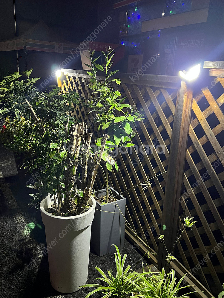 100구 LED 태양광 무선 센서등 모션감지 옥외등--3