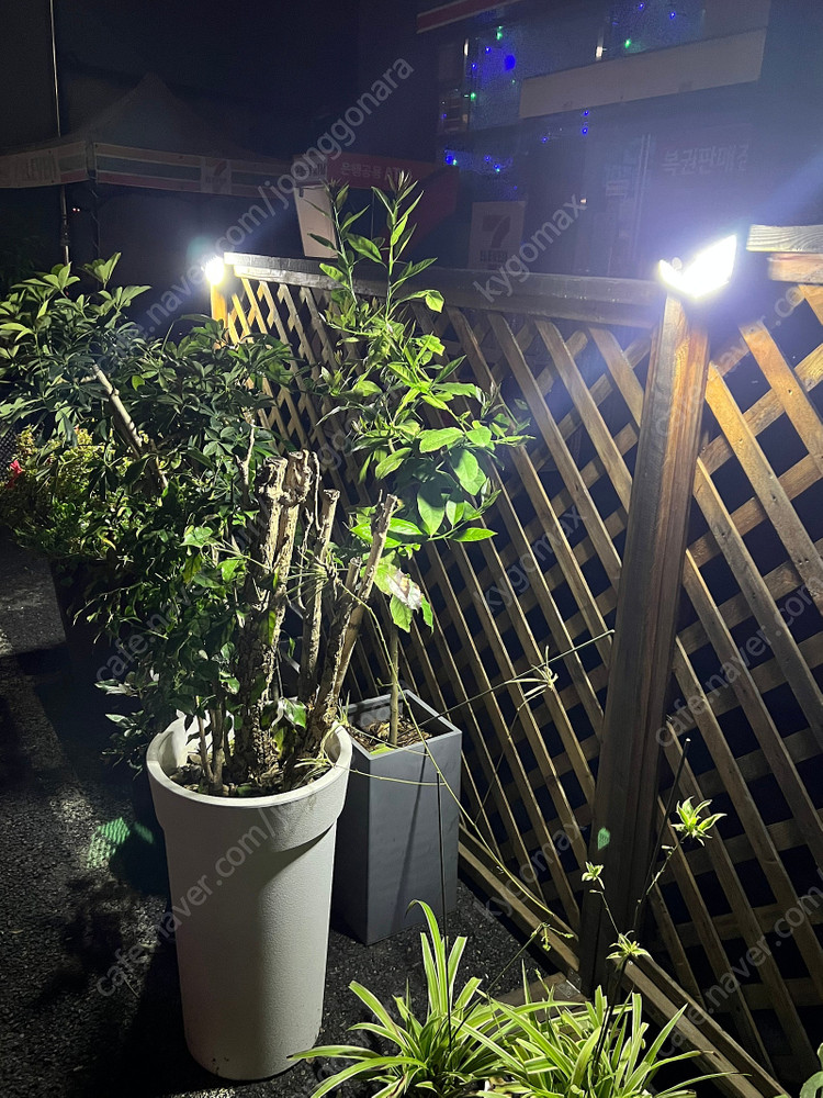 100구 LED 태양광 무선 센서등 모션감지 옥외등--3