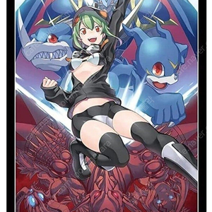 디지몬 리나 슬리브 삽니다.