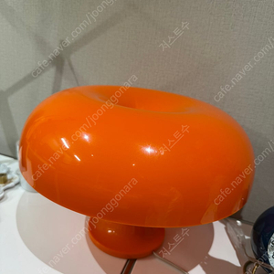 아르떼미데 네시노