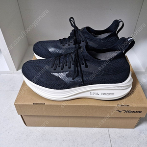 미즈노 네오젠 275