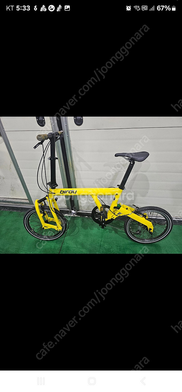 버디 폴딩 클래식 자전거--0