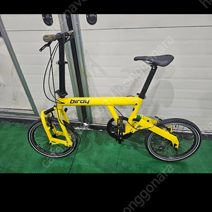 버디 폴딩 클래식 자전거