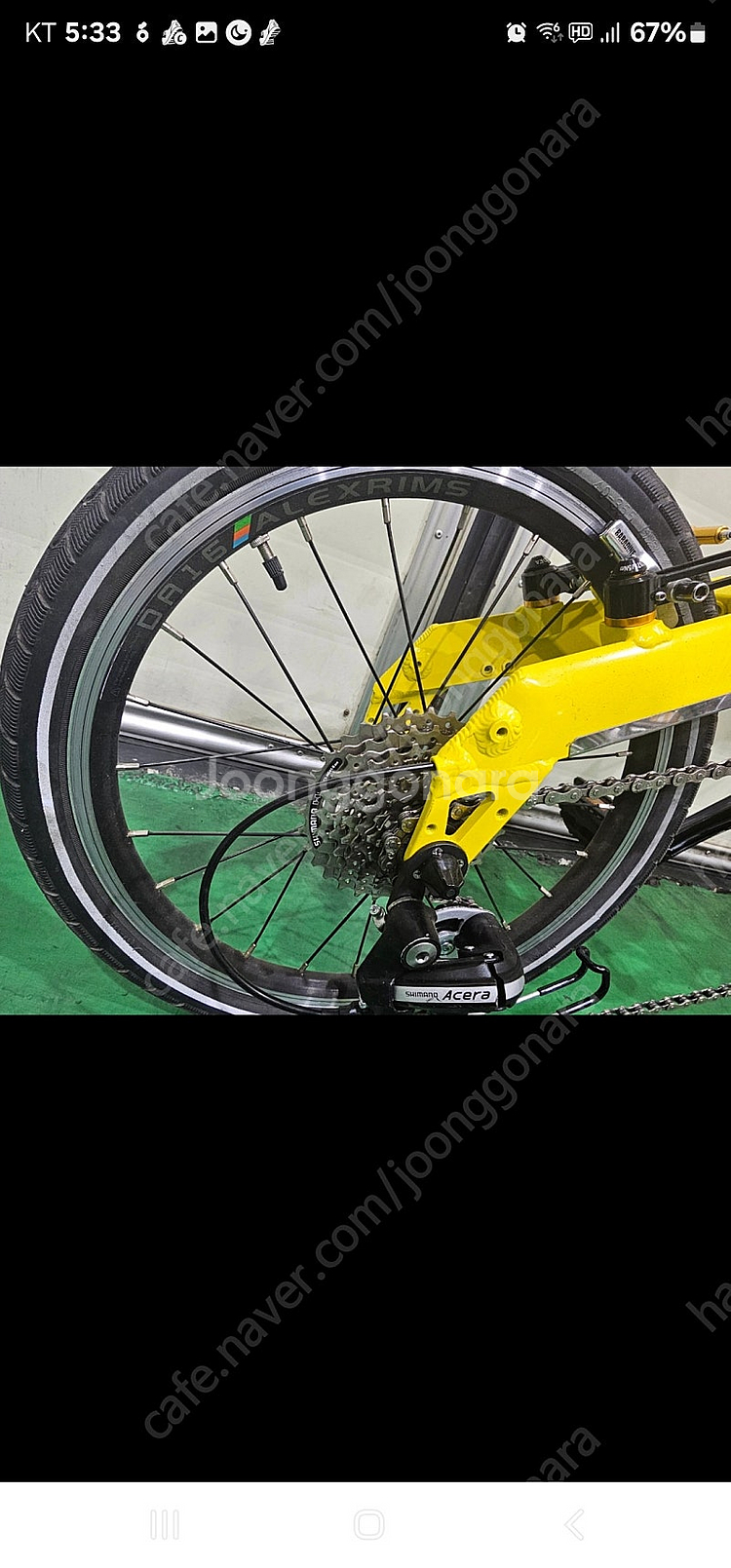 버디 폴딩 클래식 자전거--1