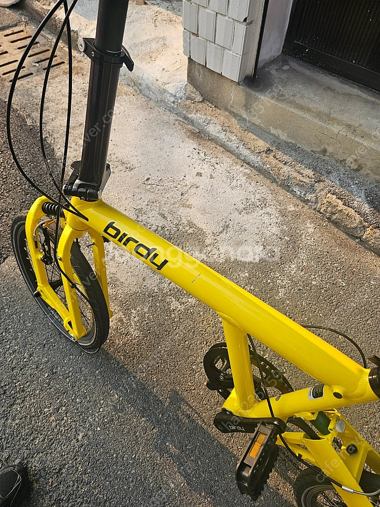 버디 폴딩 클래식 자전거--3