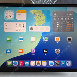 아이패드 프로 11인치 3세대 M1 256GB 셀룰러