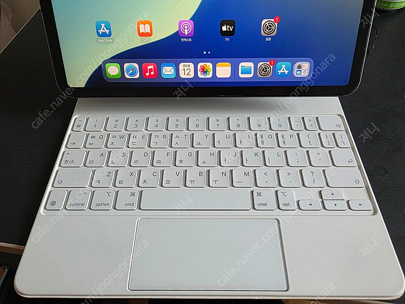 아이패드 프로 11인치 3세대 M1 256GB 셀룰러 이미지