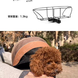 자전거 펫 캐리어 + 짐받이