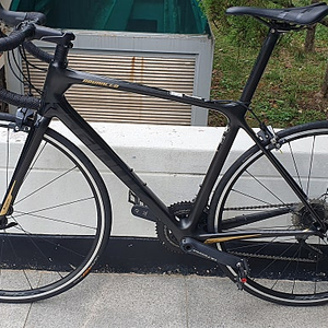 자이언트 TCR ADV1 KOM 2019 로드 자전거 (수원)