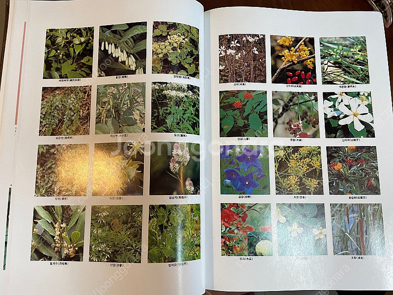 동의보감(한국교육문화사)--8