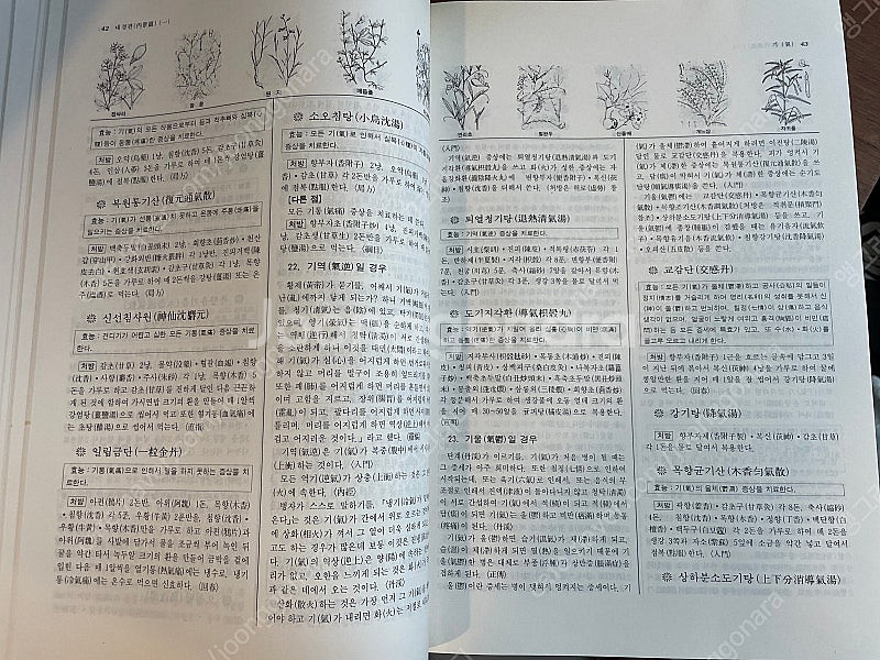 동의보감(한국교육문화사)--9