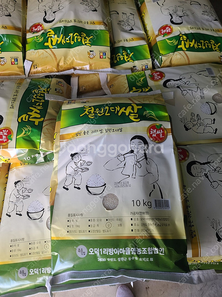철원 오대쌀 10kg 팝니다 택배가능해요--0