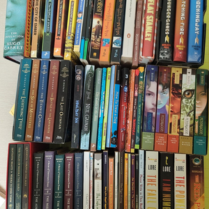 챕터북 잠수네 영어원서 66권