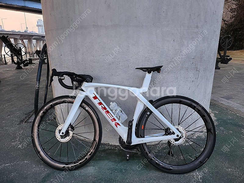 트렉 마돈 7세대 화이트 프로젝트원 반차--0