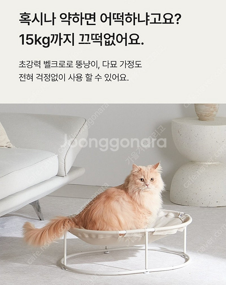 세이펫 반려동물 해먹 침대 소파-에코 컬러--2