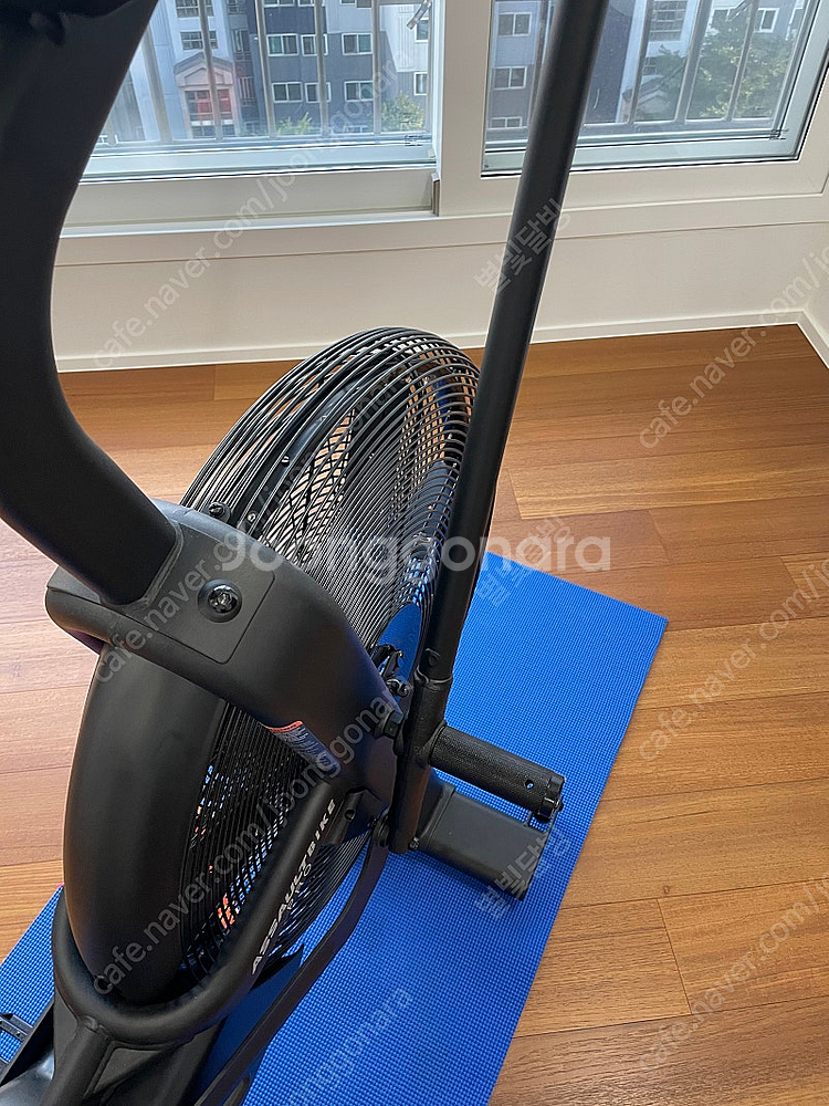 어썰트 에어바이크 프로 크로스핏--8