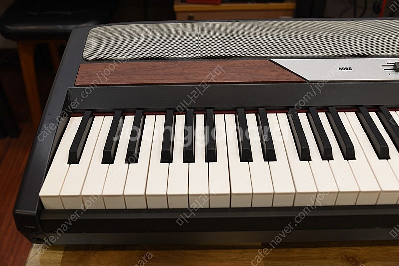 KORG SP-250--2