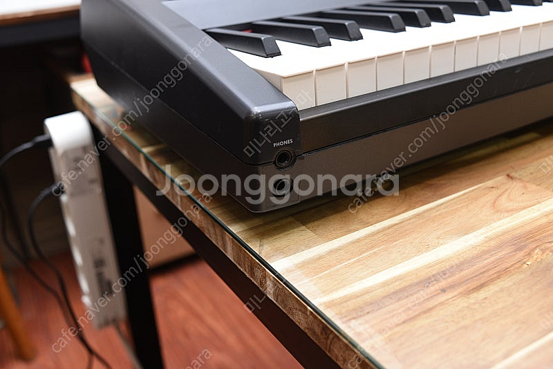 KORG SP-250--5