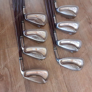 여성용 아이언 다이와 DT430L