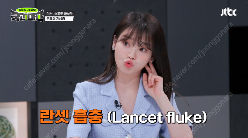 룩캐스트 블루 사라 크롭 트위드 자켓 (완전 새것, 미착용) 이미지