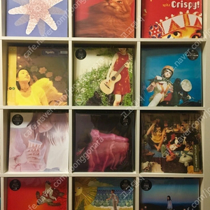 일본 락밴드 스피츠(Spitz)의 LP 팝니다.