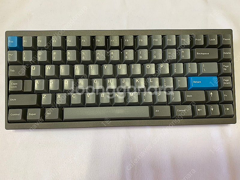 LZ 커스텀키보드--0