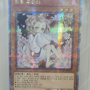 유희왕 하루 우라라, 레이디 오브 더 라뷰런스, 블랙매지션 등등 쿼터 시크릿 레어 이미지