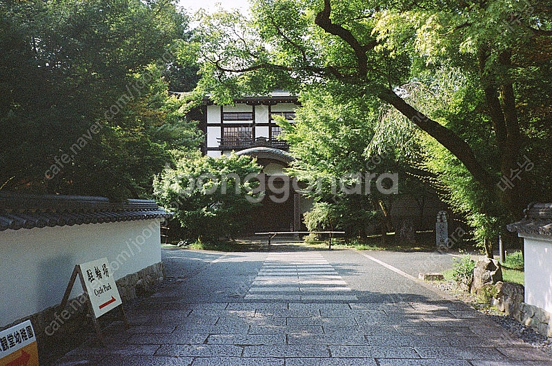 야시카 t3 쿄세라 교세라t3 자동필카 판매--1