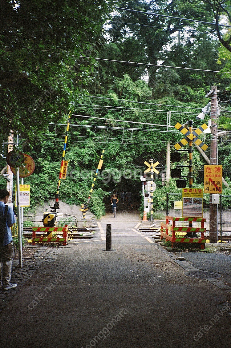 야시카 t3 쿄세라 교세라t3 자동필카 판매--2