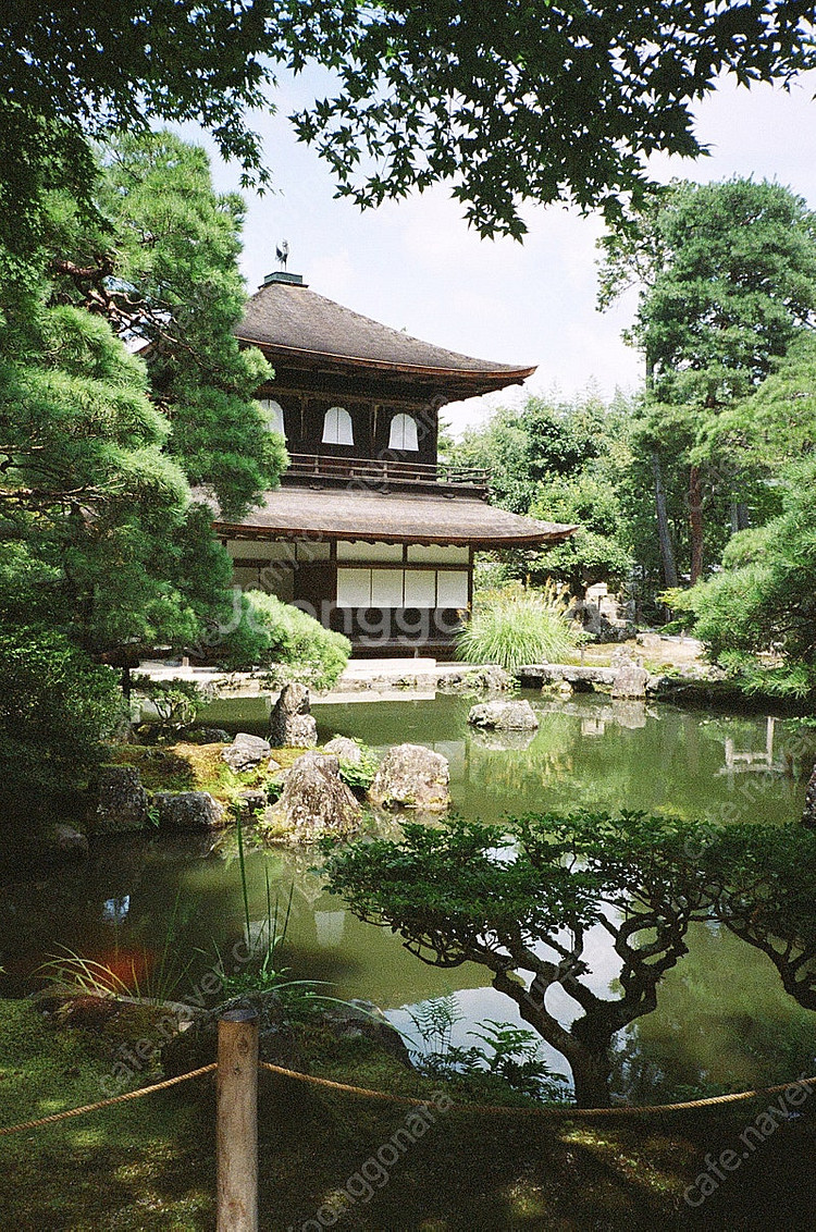 야시카 t3 쿄세라 교세라t3 자동필카 판매--3