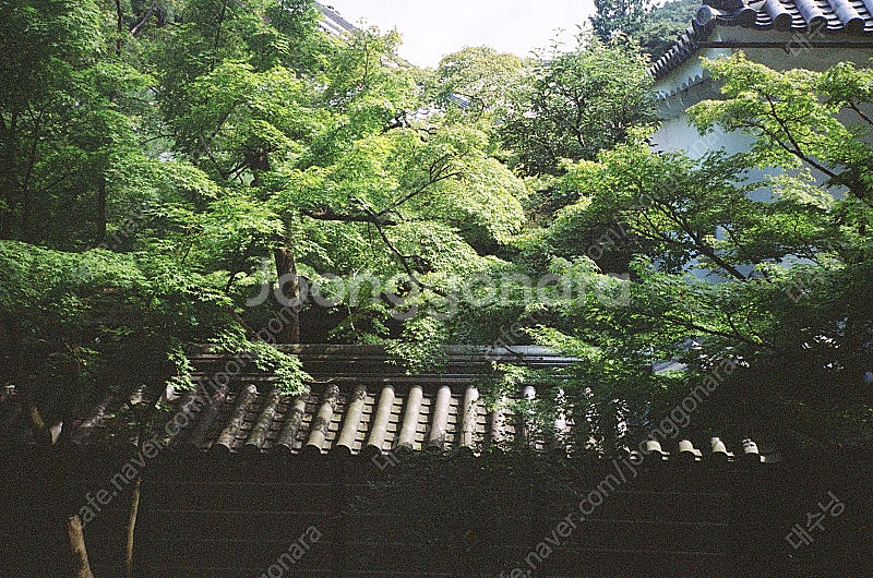 야시카 t3 쿄세라 교세라t3 자동필카 판매--4