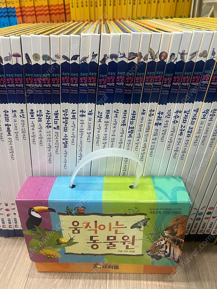 프뢰벨 토탈 시스템 자연관찰+움직이는 동물원--1