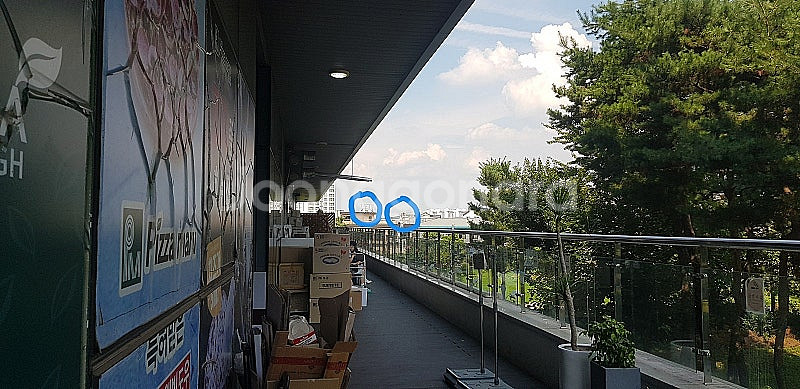 니콘 ED2 필드스코프 쌍안경 망원경--6