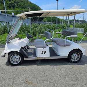 골프카.골프카트