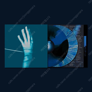 쏜애플 (Thornapple) 2집 LP 이상기후 10주년