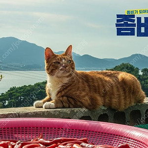 cgv 얼굴 8천 이외 9500 메가박스 9000 영화 예매 여러장 가능