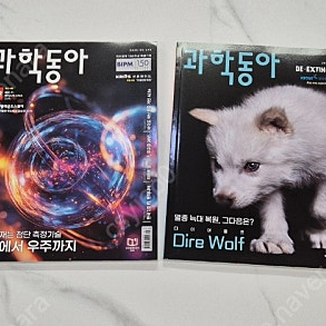 과학동아 2025년_고학년용 과학잡지 (24년 추가구매 가능)