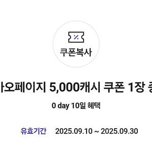 카카오페이지 5000캐시 3800원