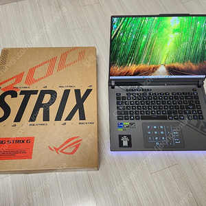 ASUS ROG STRIX G16 G614JV-N4117 게이밍 노트북