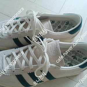 뉴발란스 나이키 아디다스 운동화