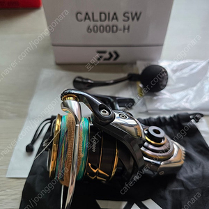 다이와 22칼디아 sw6000 h