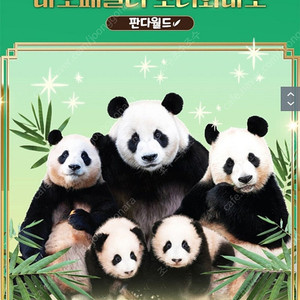 에버랜드 대인 종일권 34,000원