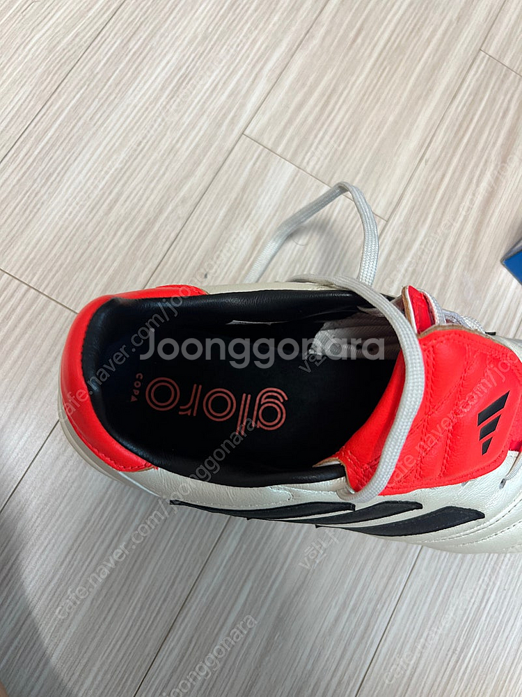 풋살화 아디다스 코파 글로로 TF (IE7541)285...--2