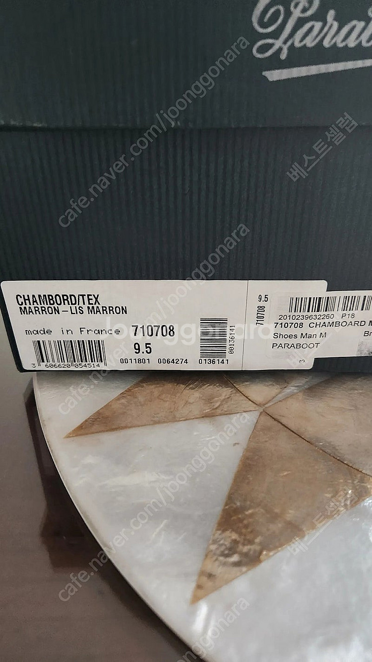 파라부트샴보드마룬--1