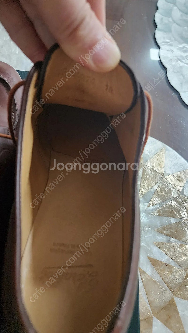 파라부트샴보드마룬--2