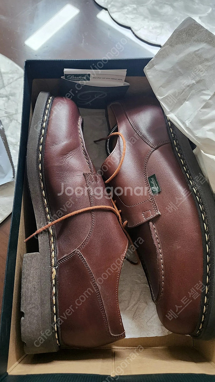 파라부트샴보드마룬--6