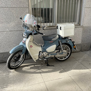 슈퍼커브 c125 24년식 펄그레이